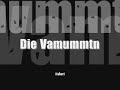 die vamummtn: zufois picknick