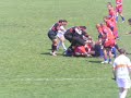 Pourquoi Fred ne joue pas à la mêlée cette saison... Pourquoi Fred ne joue pas à la mêlée cette saison...