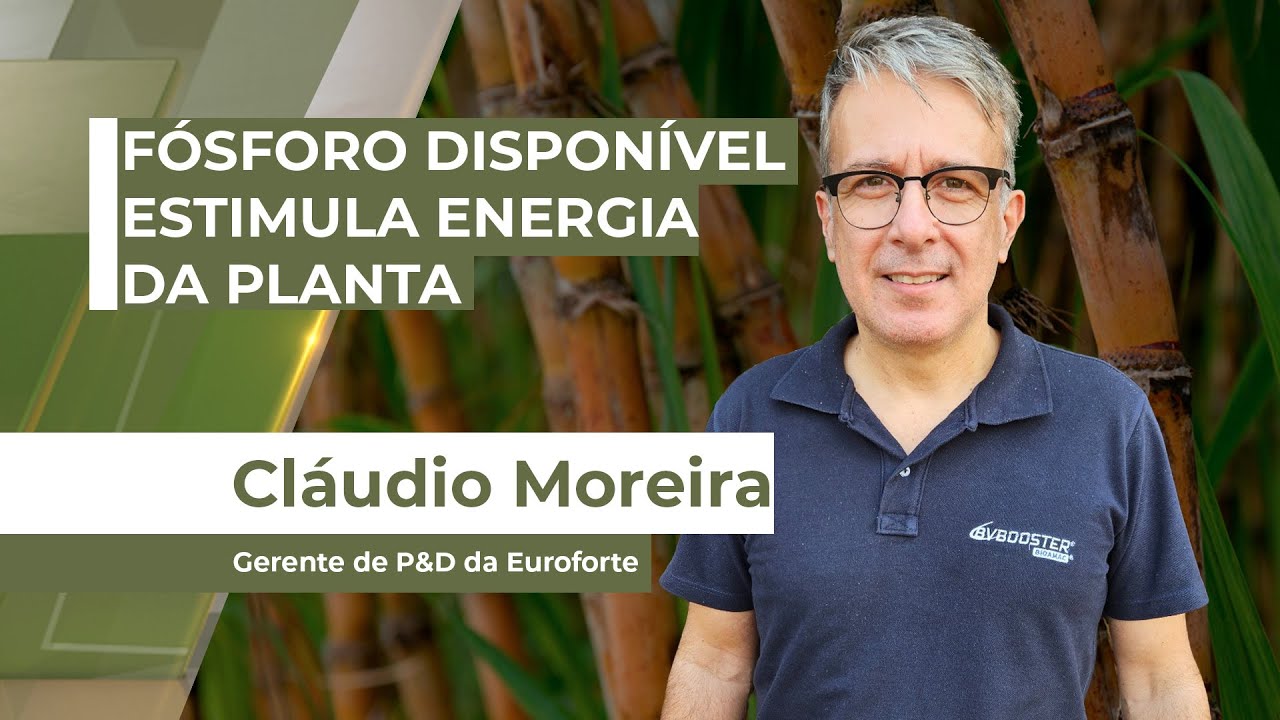 Vantagens da disponibilidade do fósforo no solo no momento em que a planta mais necessita ...