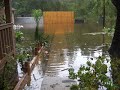 Hurricane Ike! Hurricane Ike!