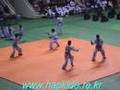Hapkido