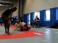 Frodi Hansen vs. Nikki Ashton
