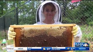 Health Matters: Honey Bees