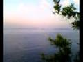 VIDEO_013.mp4