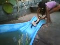 O gatinho escorregando O gatinho escorregando