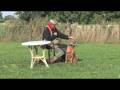 videos de Anke Bogaerts DVD - preview