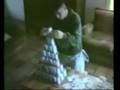 Funny Animals 4