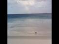videos de bay of fires