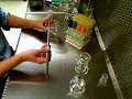 Placing seeds in germination medium 2-quicktime