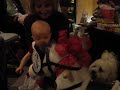 Horsey for Christmas Horsey for Christmas