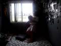 videos de tyrell and travis wrestling