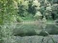 videos de Lago delle Corree - Estate 2008