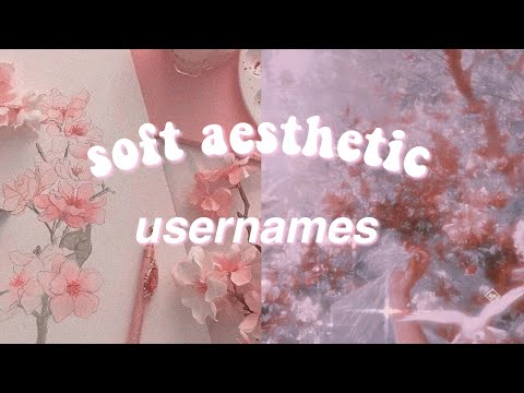 Aesthetic Usernames For Tik Tok Login Information Account Loginask