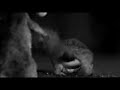 Proton Perdana V6 car Squirrel commercial