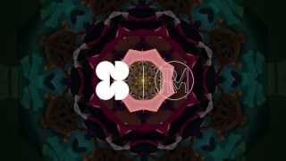 Paul Chin – Fossil