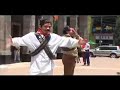 El Loro Negro 2 de 4