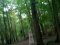videos de Bald Gym Teacher On Camping Trip.[: