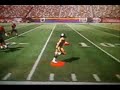 Troy Polamalu Troy Polamalu