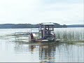 Kaislanniittoa Loppij�rvell� 2008