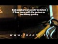 Diagnosing and fixing computers with no sound or audio 