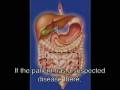 videos de Pill_camera.mov