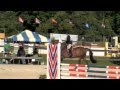 Lord Loxley Equitation horse.  LEASED