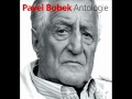 Houston - Bobek Pavel