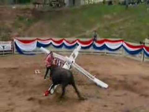 Jackass