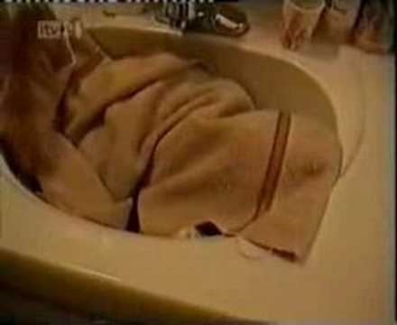 Cute Animals Compilation part 3