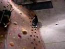 Rock Climbing at Adventure Rock