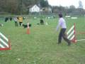 videos de Australe - Entraînement Agility 15/11/08