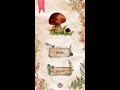 The Mushroom Book trailer