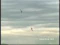 Why no U.S. Military Aircraft Bail-Out? dynmicpara