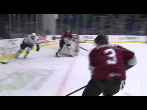 Awesome Hockey Hit