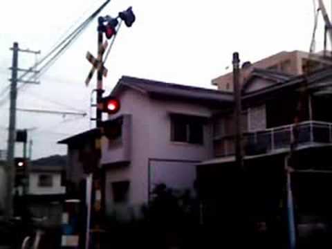伊予鉄道の踏切 (コイノニア主) 2008年08月17日