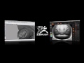 GoZ Bridge between ZBrush and other 3D applications