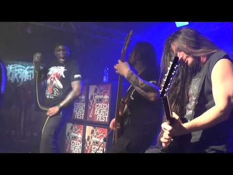 Youtube Video NtIFWR3u6BY