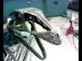 Dinosaur Art ????? by Hajime Tajima Making part1 Dinosaur Art ????? by Hajime Tajima Making part1