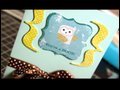 MACM - You're a Hoot