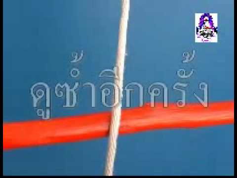 เงื่อนผูกรั้ง(Tarbuck Knot)