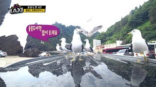시시콜콜택시