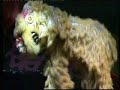 CYL Lion Dance 2008