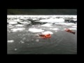 Beagle Rough Cut: IJszwemmen