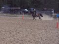 Cowboy Mounted Shooting match