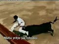 Matadori ja härkä