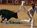 Matadori ja härkä