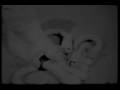 If worms could dream - Bolex stop-motion