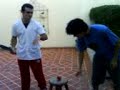 fatiando uma maçã