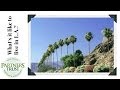 Los Angeles Lifestyle: What's it Like to Live in LA?