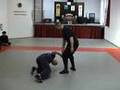 Bujinkan Brussels Ninpo Taijutsu - Kihon Happo